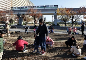 住民約１００人が球根を植えた。周辺には震災から５年間、仮設住宅が並んでいた＝神戸市東灘区向洋町中５