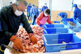 最新の設備が導入された小名浜魚市場＝福島県いわき市
