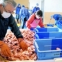 最新の設備が導入された小名浜魚市場＝福島県いわき市