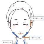 神戸新聞NEXT