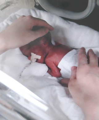 15年前の3月は、保育器の中にいました