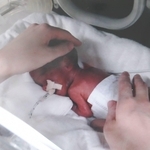 15年前の3月は、保育器の中にいました