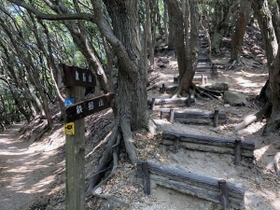 （３）旗振山から鉄拐山までの木立