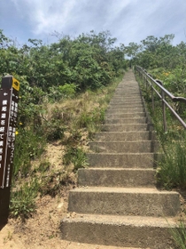 栂尾山へ続く４００段の階段