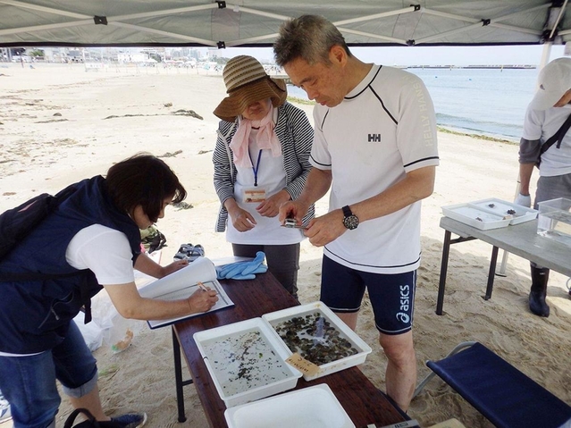 アサリの発育状況を調べる里海の会のメンバーら（同会提供）