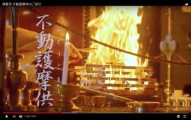 配信された動画のワンシーン
