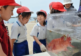 地引き網漁で取れた魚を学ぶ児童たち＝須磨海岸