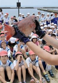 地引き網漁で取れた魚を学ぶ児童たち＝須磨海岸