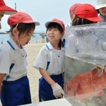 地引き網漁で取れた魚を学ぶ児童たち＝須磨海岸