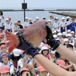 地引き網漁で取れた魚を学ぶ児童たち＝須磨海岸