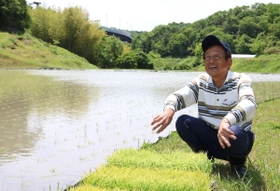 須磨の山間部で稲作を続ける森彰さん＝神戸市須磨区白川
