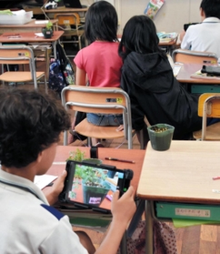 タブレットで植物観察の写真を撮影する児童＝若草小学校