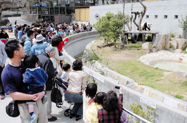 ２００５年３月の春休み期間中、多くの来場客でにぎわうパンダ舎前＝神戸市灘区、市立王子動物園