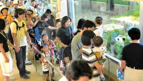 「やっと会えたね」。パンダと初対面を果たし歓声を上げる入園者＝２０００年７月２８日、神戸市灘区、市立王子動物園