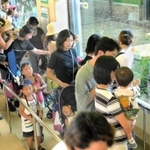 「やっと会えたね」。パンダと初対面を果たし歓声を上げる入園者＝２０００年７月２８日、神戸市灘区、市立王子動物園