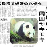 ２００３年９月６日付紙面