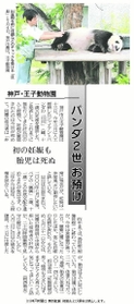２００７年８月１４日付紙面