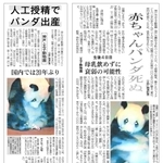 タンタンの赤ちゃん出産を報じる紙面（左）と、その３日後に赤ちゃんが息を引き取ったことを伝える紙面（右）。ともに朝刊１面で報じた