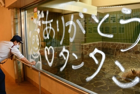 クリーナー剤でタンタンへの思いを記す沢田純一さん＝神戸市立王子動物園