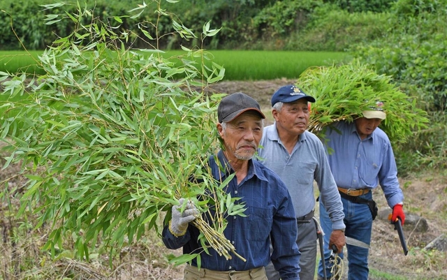 タンタンのえさの竹を運ぶ岩野憲夫さん（左）ら＝神戸市北区淡河町神影（撮影・後藤亮平）