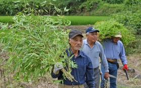 タンタンのえさの竹を運ぶ岩野憲夫さん（左）ら＝神戸市北区淡河町神影（撮影・後藤亮平）