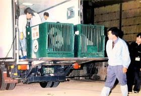 中国から王子動物園に到着したコウコウ（左）とタンタン＝２０００年７月（同園提供）