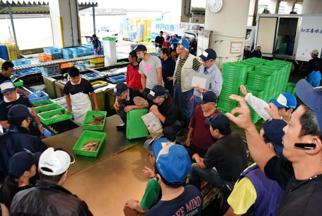 鮮魚商が指を立てて値段をつけ、次々と競り落としていく昼網の様子＝垂水漁港