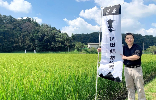 ２００７年から山田錦の田に立てられる剣菱の旗。持つのは、剣菱酒造社長の白樫政孝さん＝三木市吉川町
