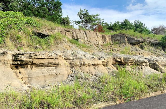農地整備で現れた神戸層群の地層＝三木市吉川町
