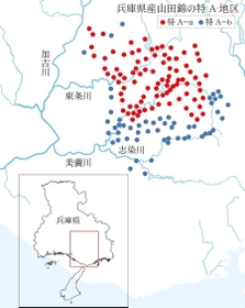神戸新聞ＮＥＸＴ