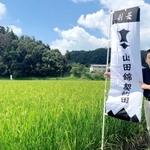 ２００７年から山田錦の田に立てられる剣菱の旗。持つのは、剣菱酒造社長の白樫政孝さん＝三木市吉川町