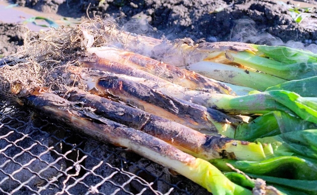 岩津ねぎの炭火素焼き。生ならではの辛みを味わうなら、白根と葉を細切りにしてポン酢などで＝朝来市内