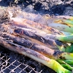 岩津ねぎの炭火素焼き。生ならではの辛みを味わうなら、白根と葉を細切りにしてポン酢などで＝朝来市内