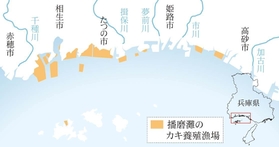 神戸新聞ＮＥＸＴ