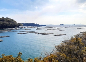 カキの筏と島々が浮かぶ瀬戸内海＝たつの市沖