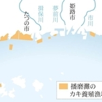 神戸新聞ＮＥＸＴ