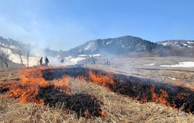 草原の自然再生のため、毎年春に行う山焼き＝兵庫県新温泉町、上山高原