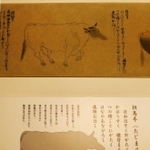 鎌倉時代の国産牛の図説「国牛十図」（複製）で紹介された但馬牛（但馬牛博物館提供）
