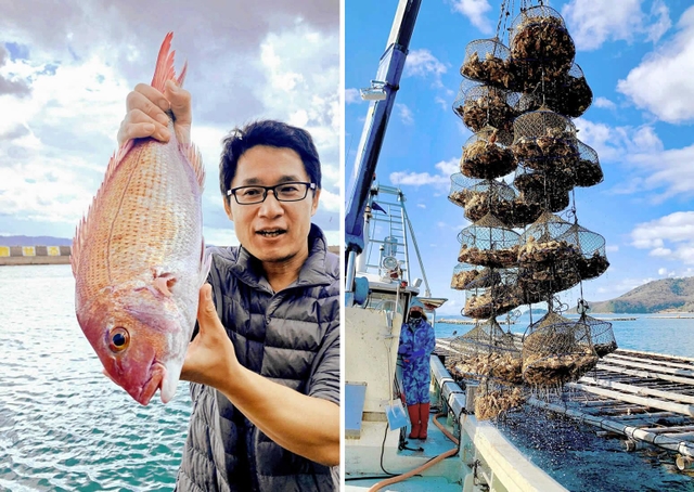 （左）海峡の潮流が育む「明石鯛」（右）播磨灘で生産量が増えるカキ