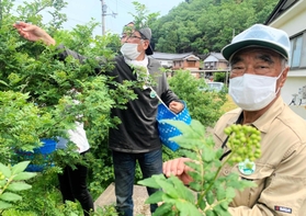 ファンクラブ会員の指導に当たる才木明さん（右）＝養父市八鹿町