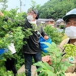 ファンクラブ会員の指導に当たる才木明さん（右）＝養父市八鹿町