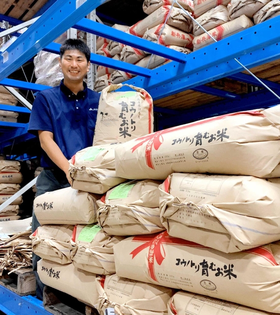生態系の力を生かして育てたＪＡたじまの「コウノトリ育むお米」＝豊岡市内