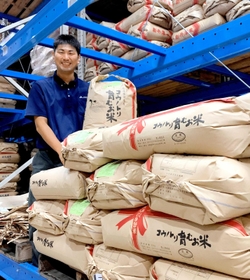 生態系の力を生かして育てたＪＡたじまの「コウノトリ育むお米」＝豊岡市内