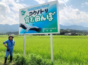 冬みず田んぼの改善や黒大豆栽培に取り組む村上彰さん＝朝来市内