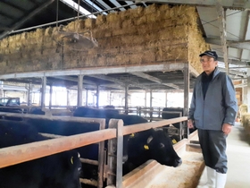 収集した稲わらを牛舎に保管する山崎壽一さん＝西脇市黒田庄町