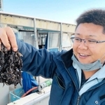 ノリの状態を見る東二見漁協の高橋夏輝さん＝播磨灘
