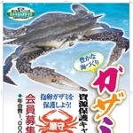 ガザミふやそう会の会員募集チラシ