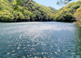 布引貯水池。災害などに見舞われたときに「命の水」となる水がめだ＝神戸市中央区