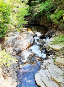六甲山の清涼な水を集める布引渓流＝神戸市中央区