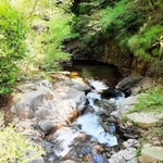 六甲山の清涼な水を集める布引渓流＝神戸市中央区